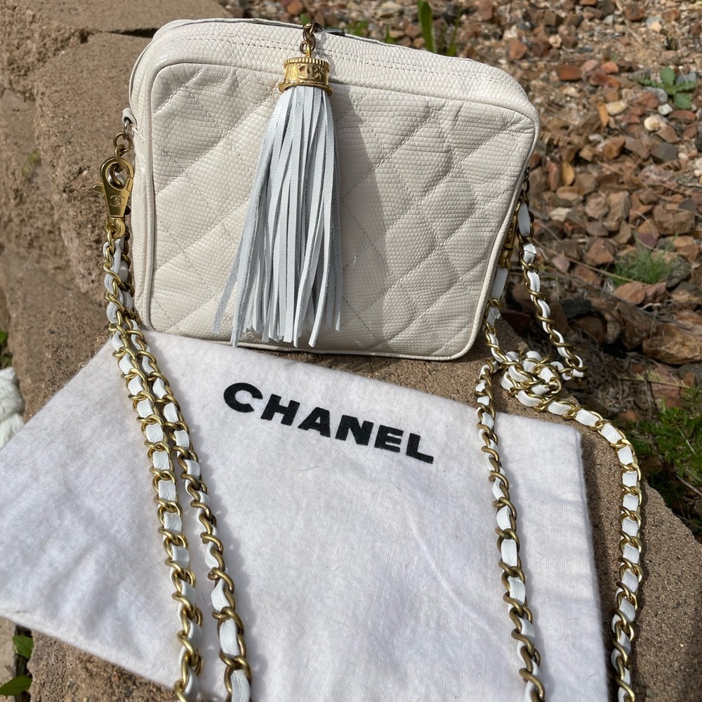 Chanel Lizard camera bag